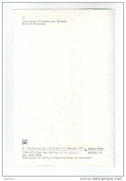 Silvia van Lenner - Tulips - flowers - 1975 - Russia USSR - unused - JH Postcards