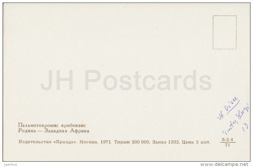 Pelvicachromis pulcher - Aquarium Fish - Russia USSR - 1971 - unused - JH Postcards