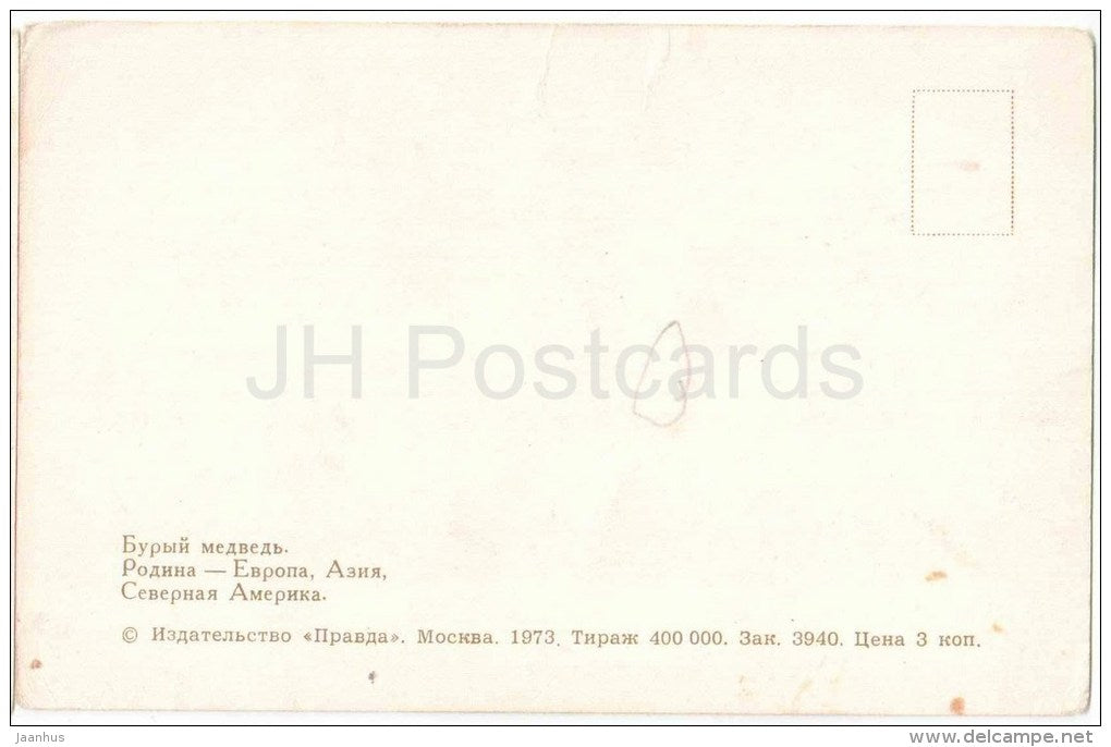 Brown Bear - Ursus arctos - Zoo - 1973 - Russia USSR - unused - JH Postcards