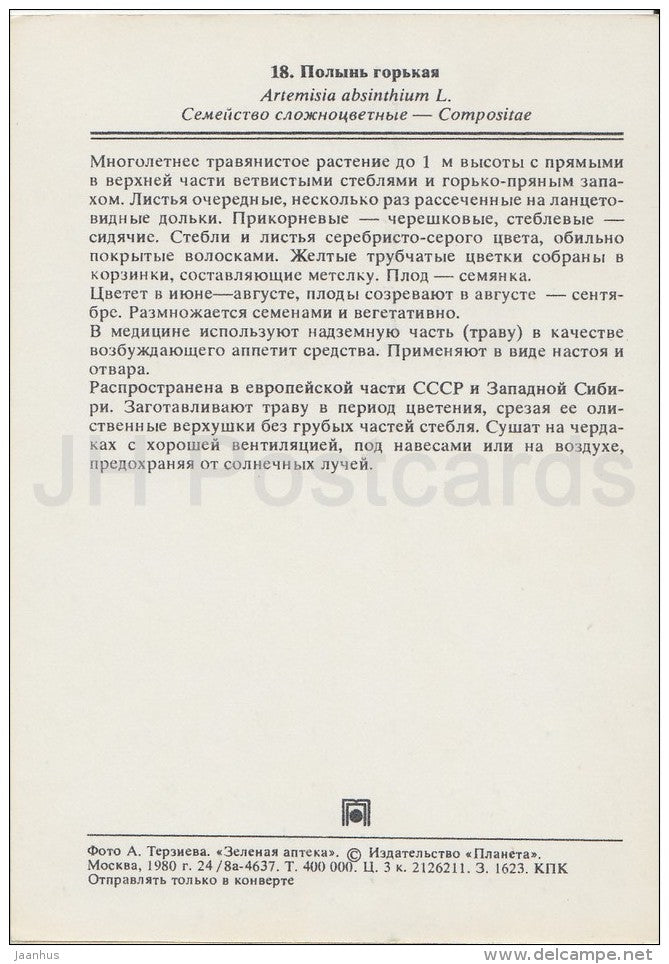 Common wormwood - Artemisia absinthium - Medicinal Plants - Herbs - 1980 - Russia USSR - unused - JH Postcards