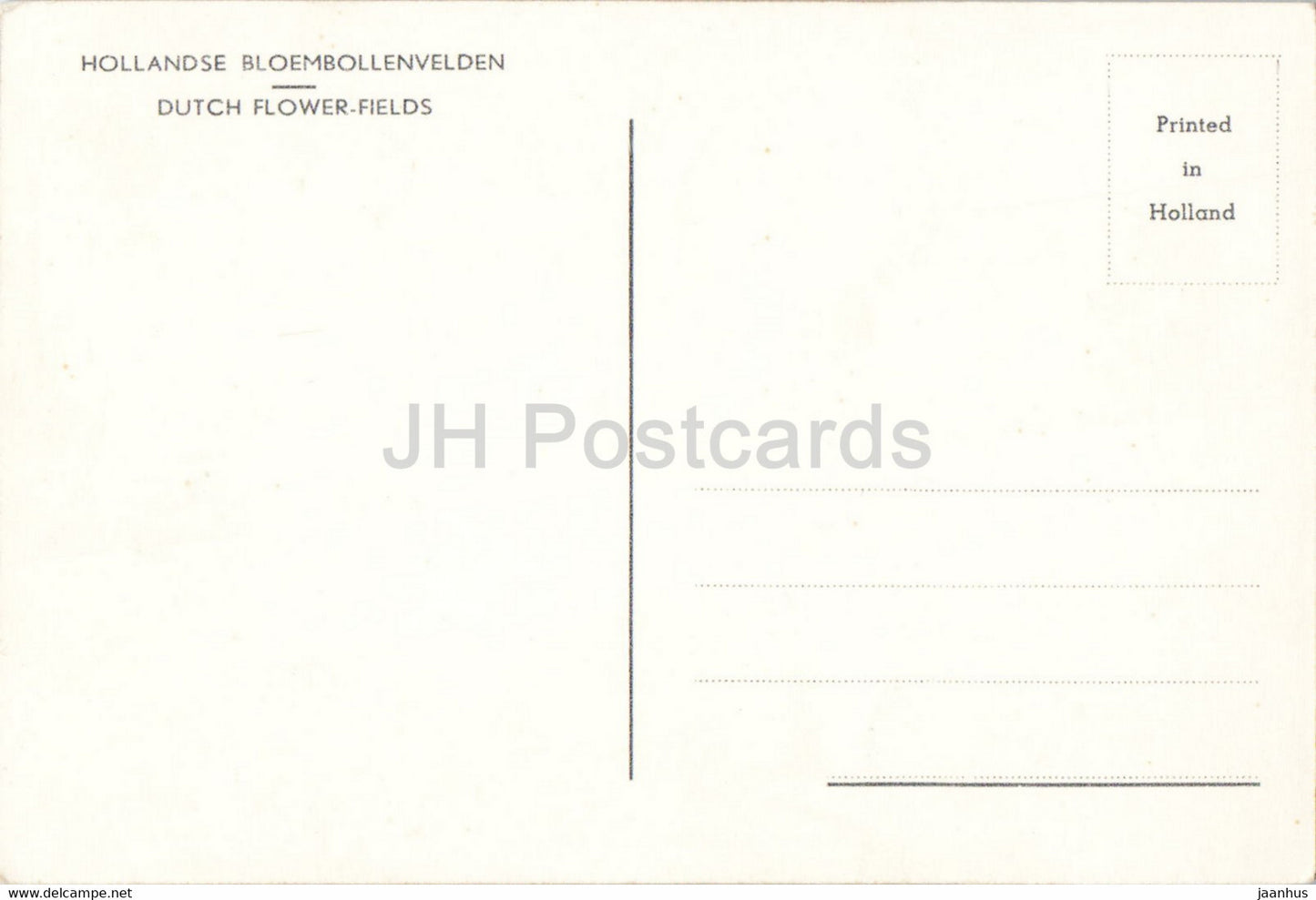 Hollandse Bloembollenvelden - Dutch Flower Fields - moulin à vent - Pays-Bas - inutilisé