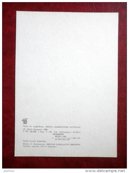 German Shepherd Puppy - dogs - 1981 - Estonia USSR - unused - JH Postcards