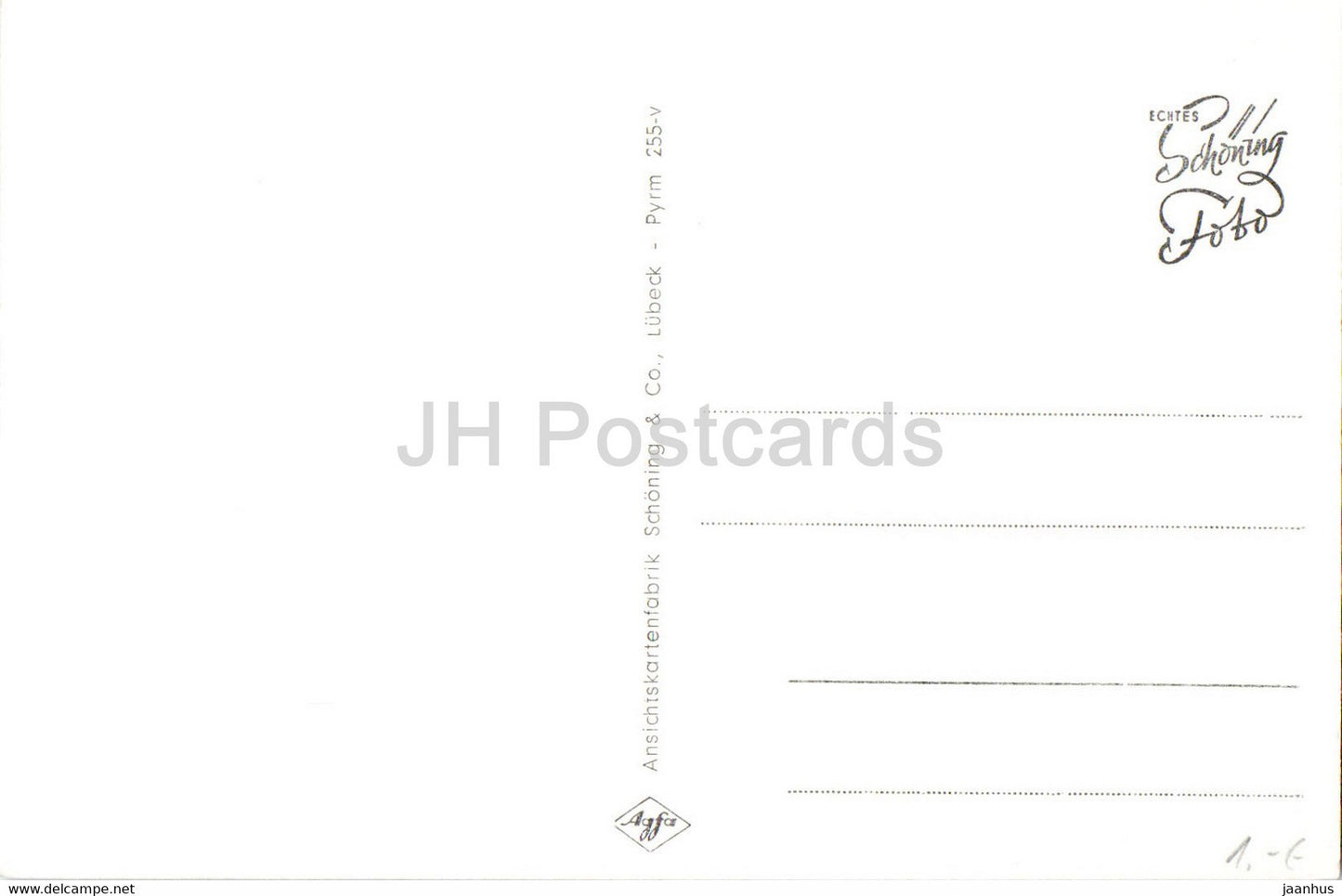 Gruss aus Bad Pyrmont - kurpark - Palmengarten - carte postale ancienne - Allemagne - inutilisé