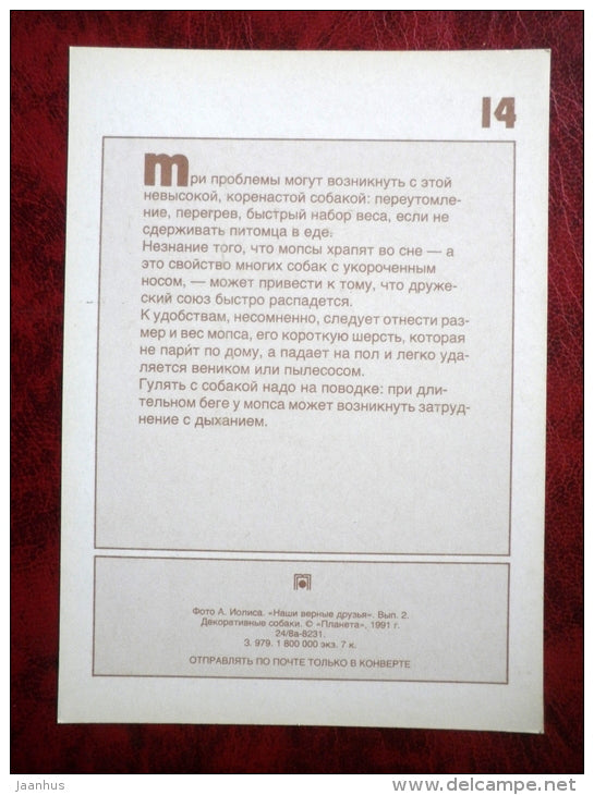 Mops - Pug - dogs - 1991 - Russia - USSR - unused - JH Postcards