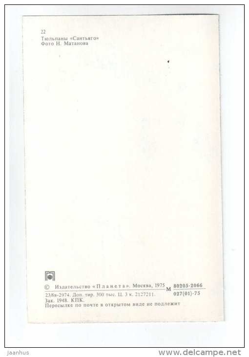 Santiago - Tulips - flowers - 1975 - Russia USSR - unused - JH Postcards