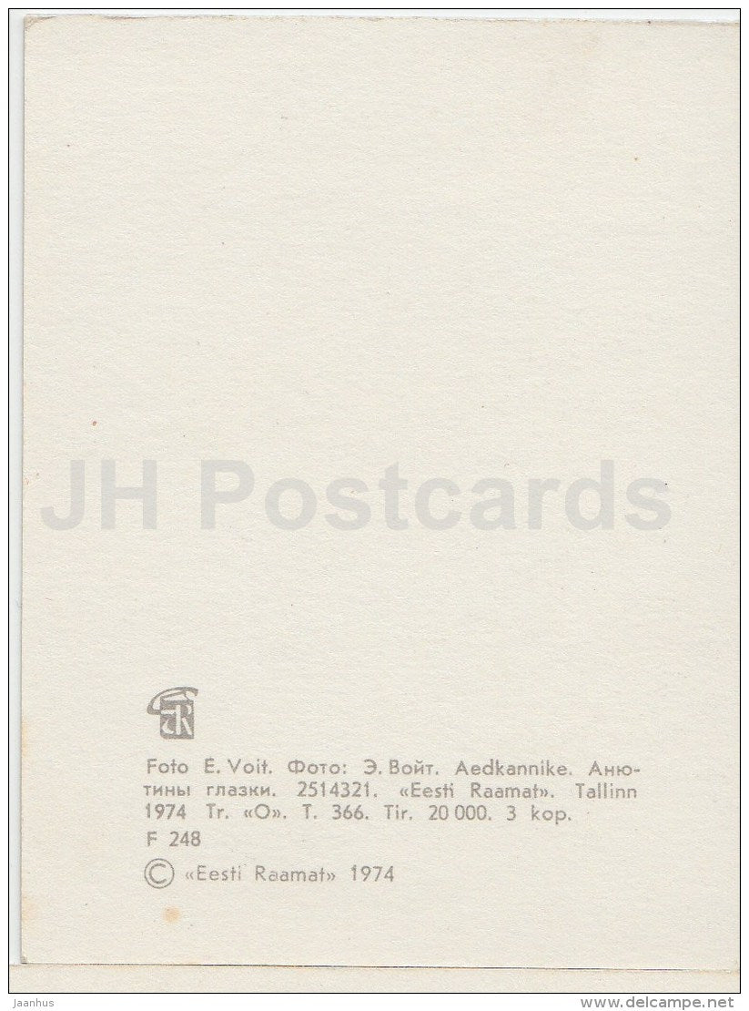 mini Birthday greeting card - Pansy - flowers - 1974 - Estonia USSR - unused - JH Postcards