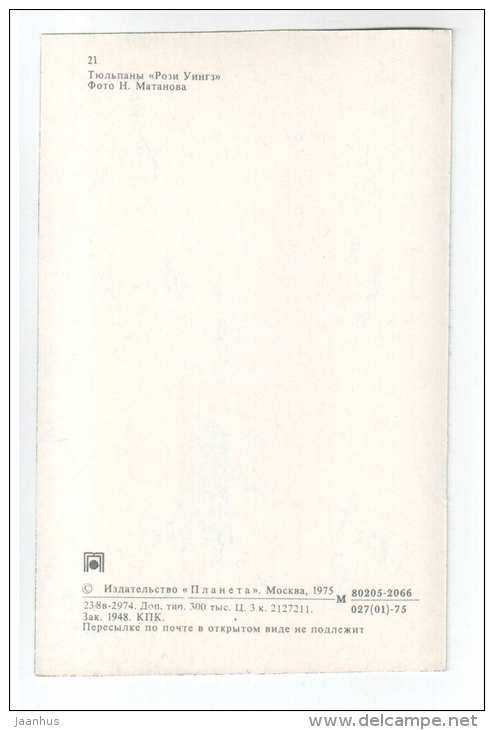 Rosie Wings - Tulips - flowers - 1975 - Russia USSR - unused - JH Postcards