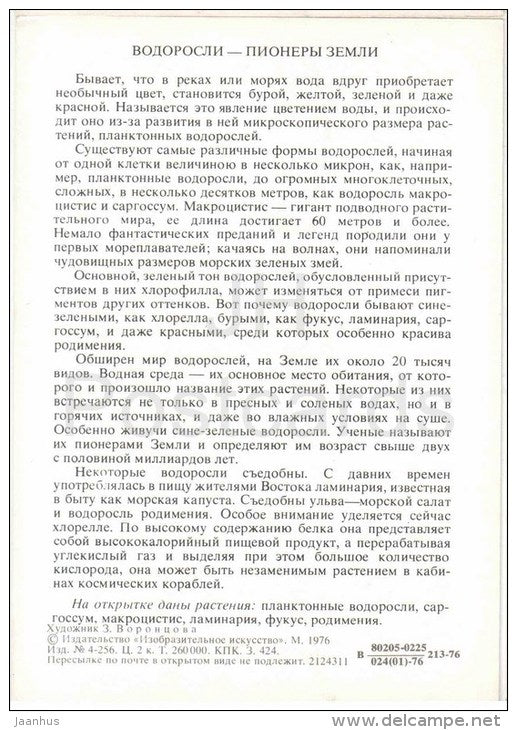 Rhodymenia - fucus - kelp - Macrocystis - Sargassum - algae - seaweed - Amazing Plants - 1976 - Russia USSR - unused - JH Postcards