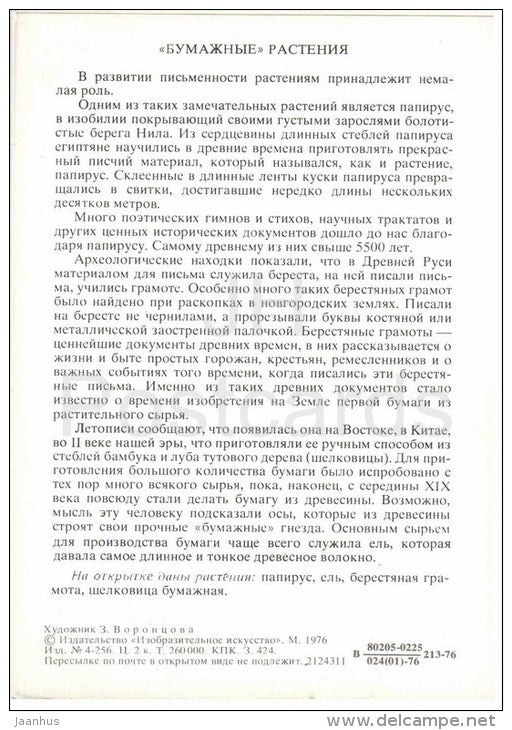 paper mulberry - birch-bark scroll - Fir - Papyrus - Paper Plants - Amazing Plants - 1976 - Russia USSR - unused - JH Postcards