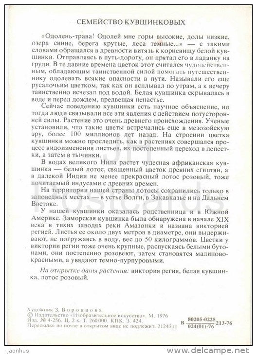 Pink Lotus - White Water Lily - Victoria Regia - family Nymphaeaceae - Amazing Plants - 1976 - Russia USSR - unused - JH Postcards