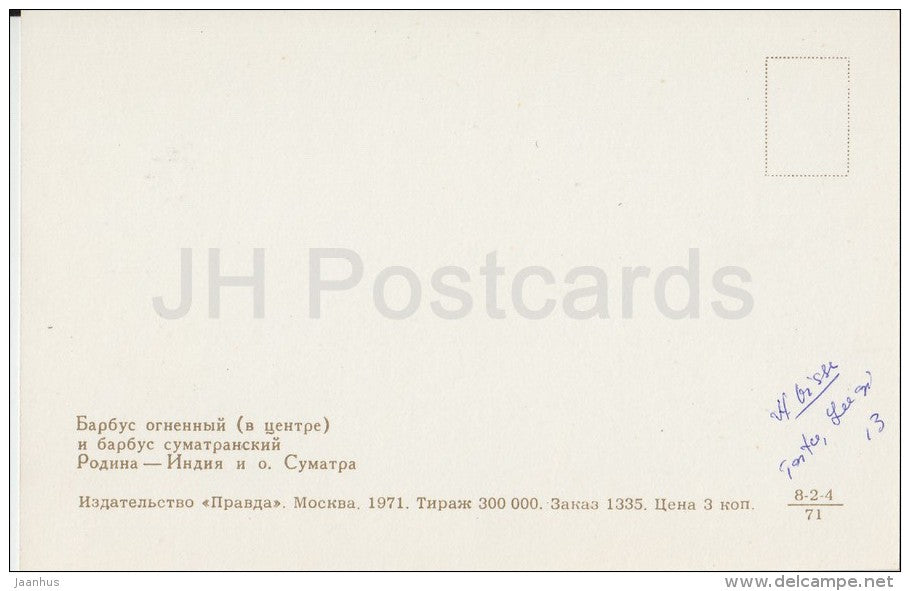 Tiger Barb - Aquarium Fish - Russia USSR - 1971 - unused - JH Postcards