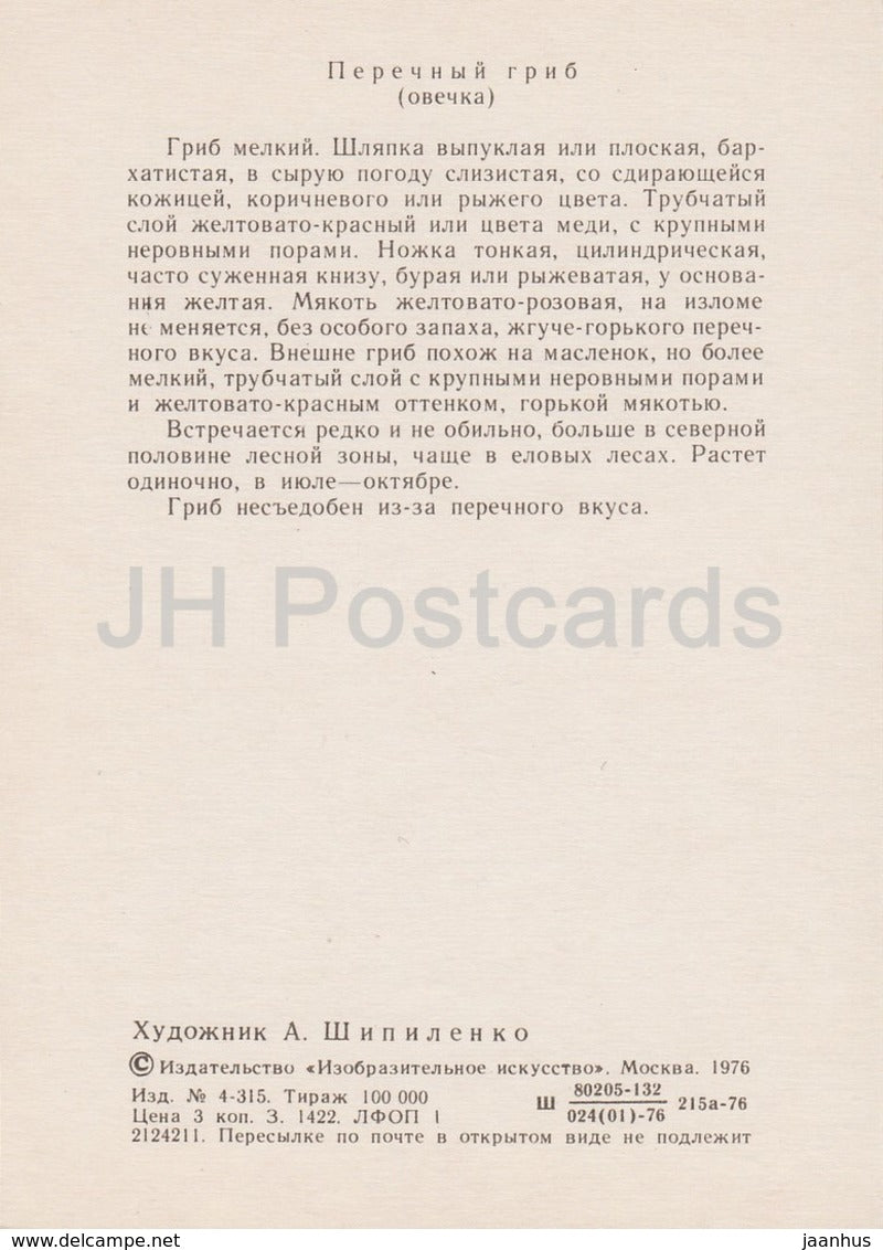 Peppery bolete - Chalciporus piperatus - illustration by A. Shipilenko - Mushrooms - 1976 - Russia USSR - unused - JH Postcards