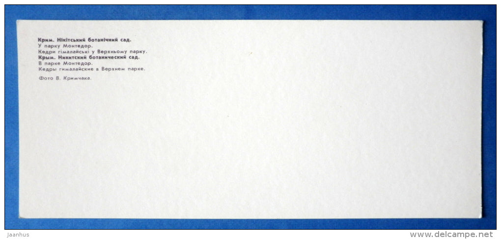 Montedor Park - Himalayan cedar , Cedrus deodara - Nikitsky Botanical Garden - 1981 - Ukraine USSR - unused - JH Postcards