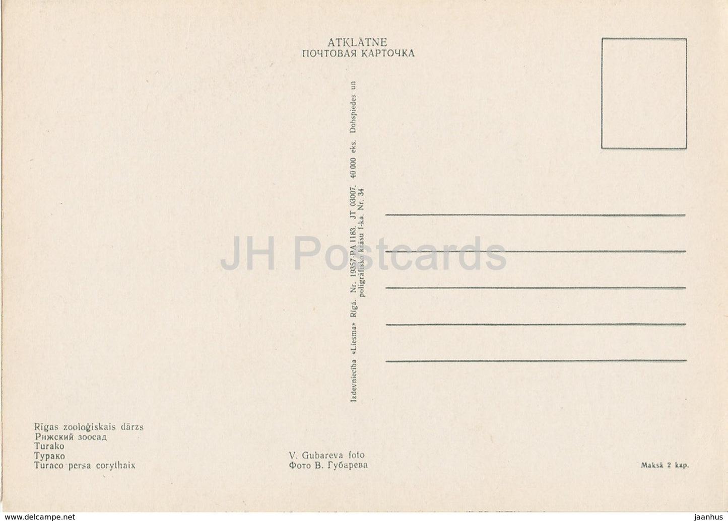 Guinea turaco - Tauraco persa - birds - Riga Zoo - old postcard - Latvia USSR - unused