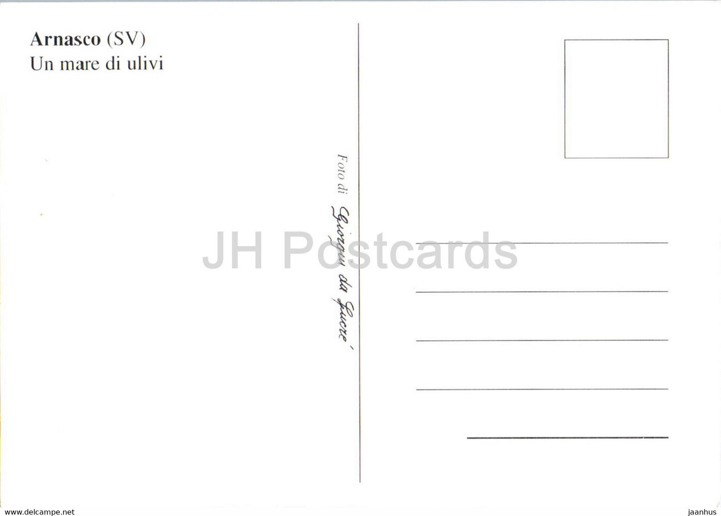 Arnasco SV - Un mare di ulivi - olive trees - Italy - unused