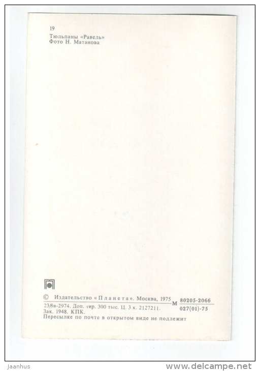 Ravelle - Tulips - flowers - 1975 - Russia USSR - unused - JH Postcards