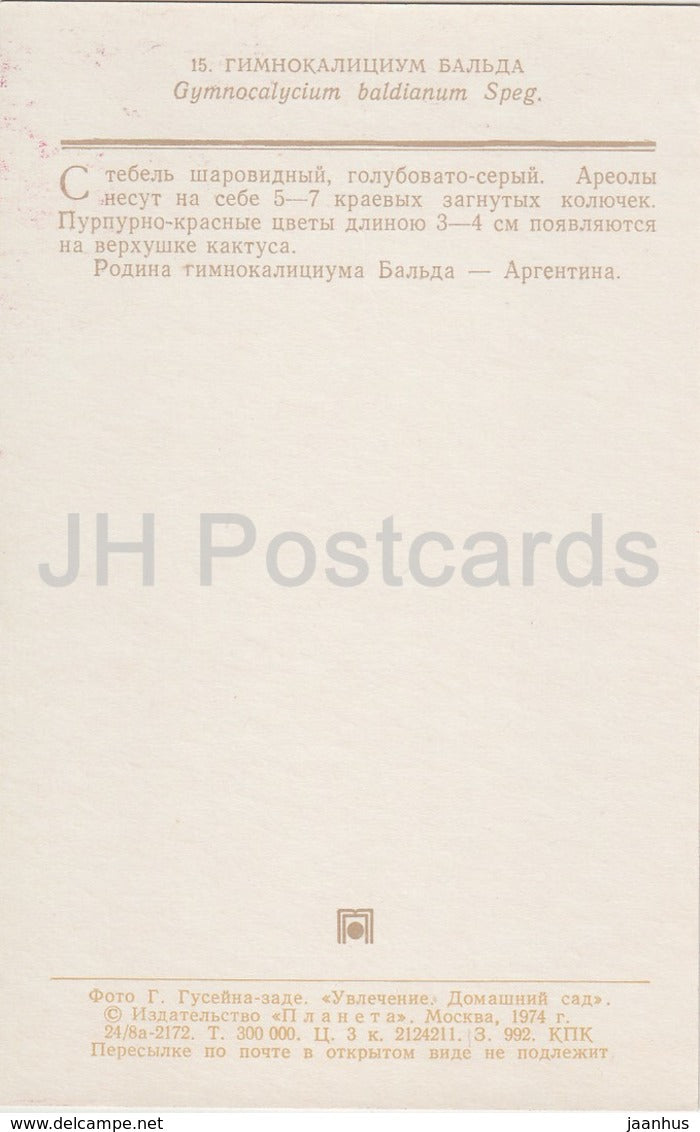 Spider Cactus - Gymnocalycium baldianum - cactus - fleurs - 1974 - Russie URSS - inutilisé