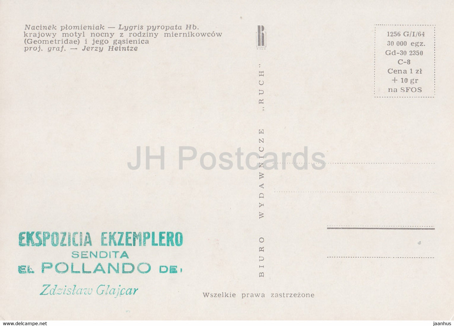 Nacinek Plomieniak - Eulithis pyropata - Lygris pyropata - Motte - Insekten - Illustration - Polen - unbenutzt