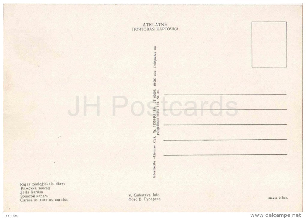 Goldfish - Carassius Auratus auratus - fish - postcard on thin paper - Riga Zoo - Latvia USSR - unused - JH Postcards