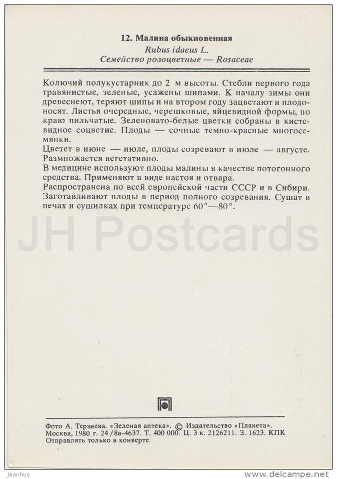 Red raspberry - Rubus idaeus - Medicinal Plants - Herbs - 1980 - Russia USSR - unused - JH Postcards