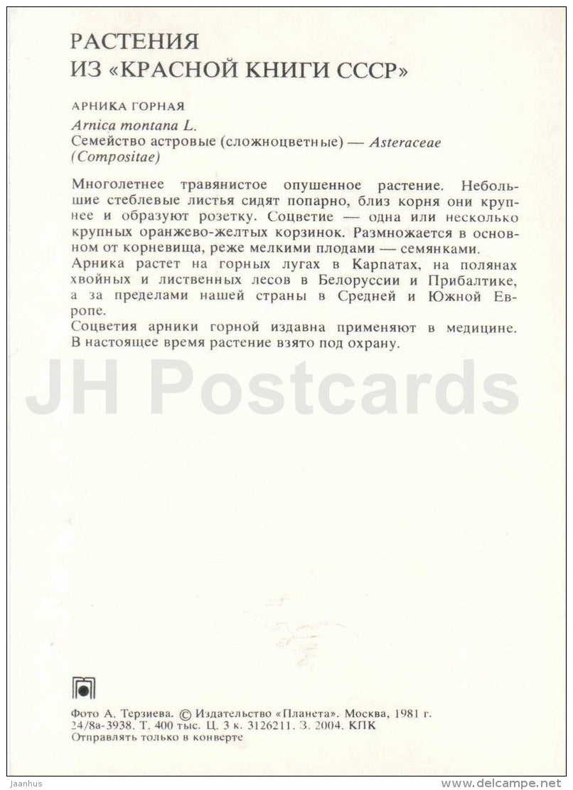 Mountain arnica - Arnica montana - Endangered Plants of USSR - nature - 1981 - Russia USSR - unused - JH Postcards