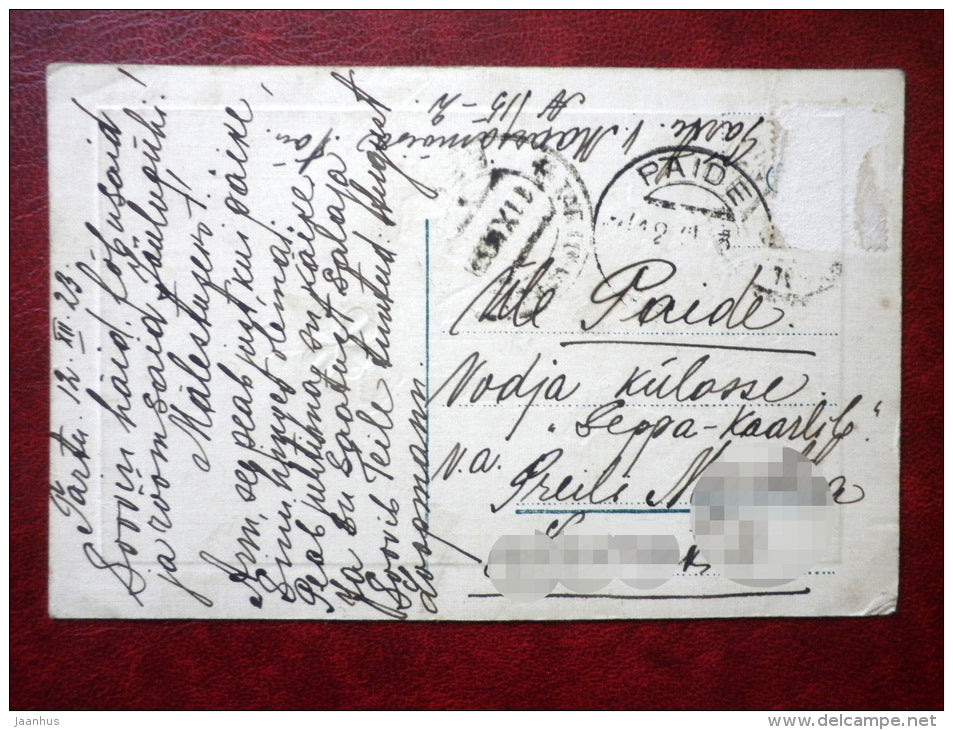 Christmas Greeting Card - cones - spruce branches - circulated in 1923 - Estonia - used - JH Postcards