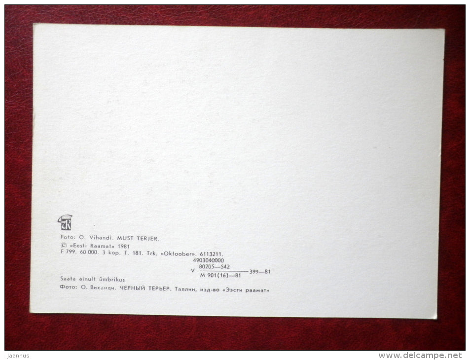 Black Terrier - dogs - 1981 - Estonia USSR - unused - JH Postcards