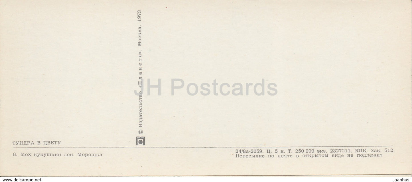 Cloudberry - moss - reindeer - native people - plants - Tundra in bloom - 1973 - Russia USSR - unused