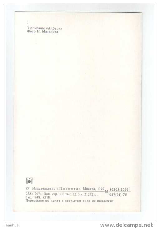 Alborough - Tulips - flowers - 1975 - Russia USSR - unused - JH Postcards