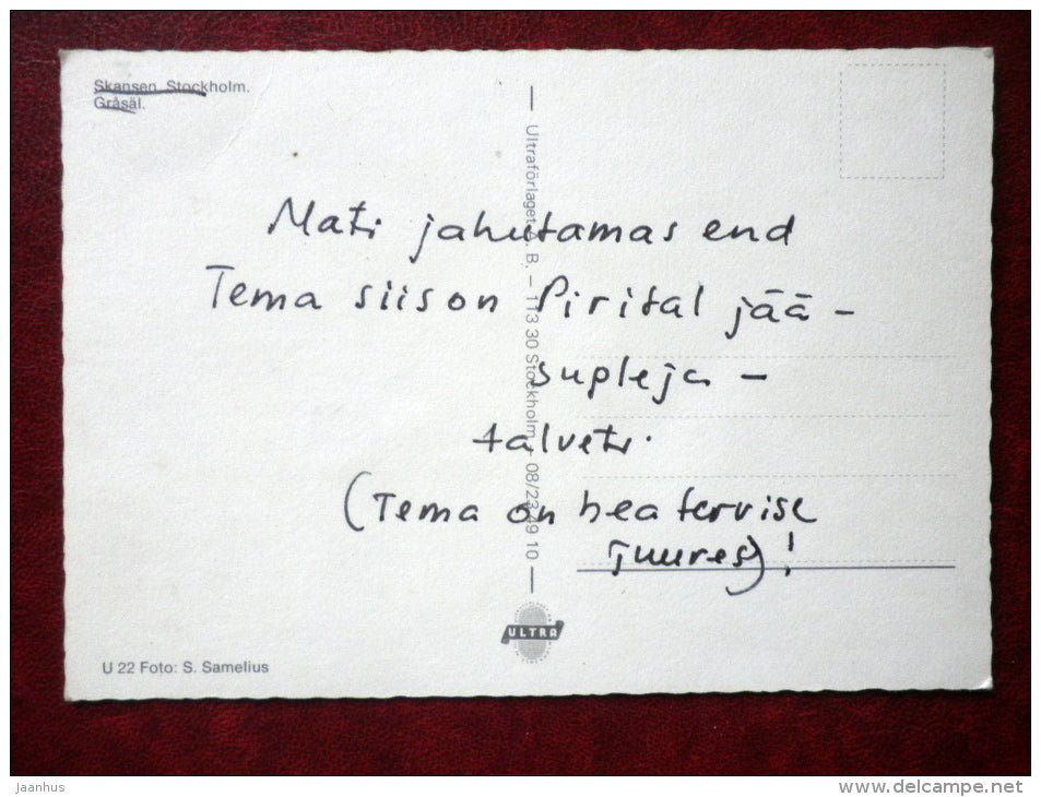 Grey Seal - Halichoerus grypus - animal - Sweden - used - JH Postcards