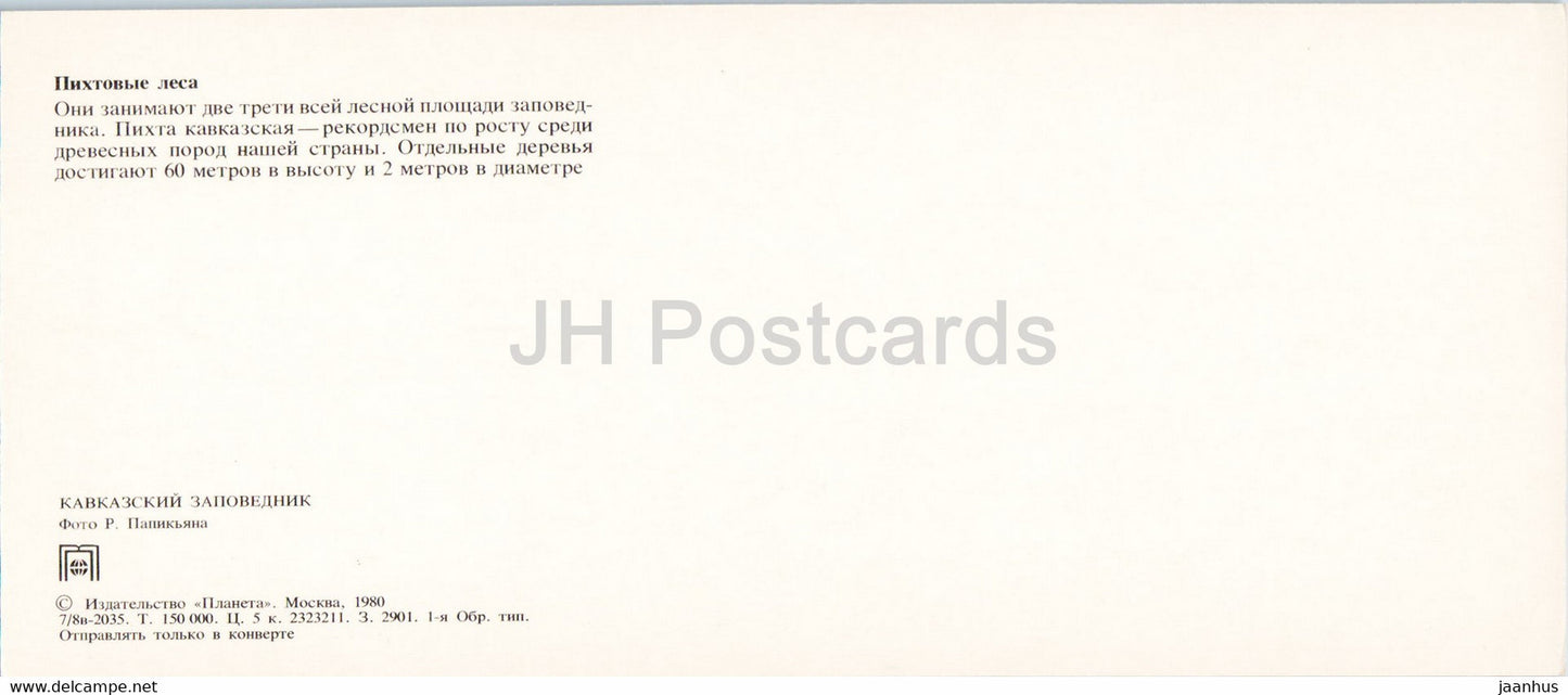 Forêts de sapins - Réserve naturelle du Caucase - 1980 - Russie URSS - inutilisé