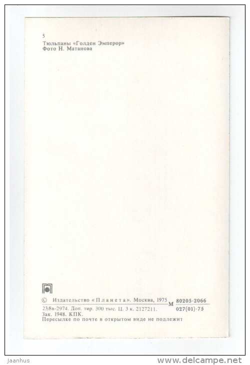 Golden Emperior - Tulips - flowers - 1975 - Russia USSR - unused - JH Postcards
