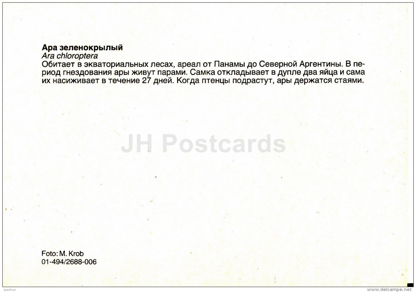 Red-and-green macaw - Ara chloropterus - birds - Zoo - Czechoslovakia - unused - JH Postcards