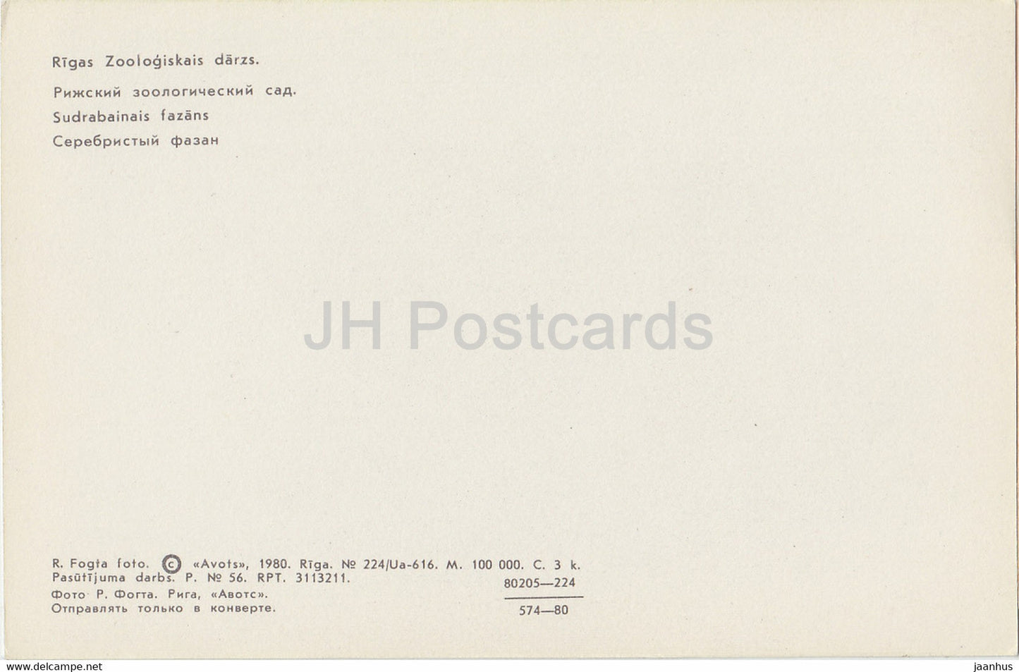 Silver pheasant - Lophura nycthemera - birds - Riga Zoo - 1980 - Latvia USSR - unused