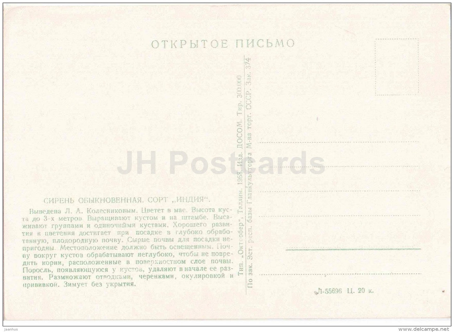 lilac India - 1958 - Russia USSR - unused - JH Postcards