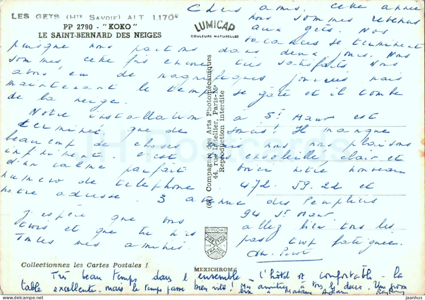 Koko - Le Saint Bernard des Neiges - St Bernard - chien- France - utilisé