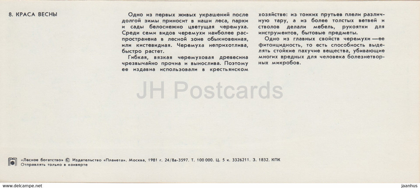 cerisier des oiseaux - Richesse forestière - 1981 - Russie URSS - inutilisé