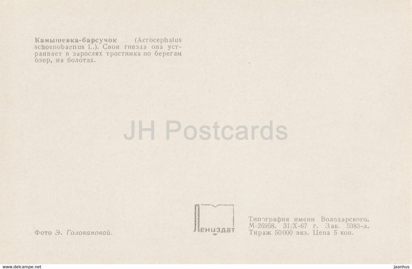 Schilfrohrsänger - Acrocephalus schoenobaenus - Vögel - 1968 - Russland UdSSR - unbenutzt