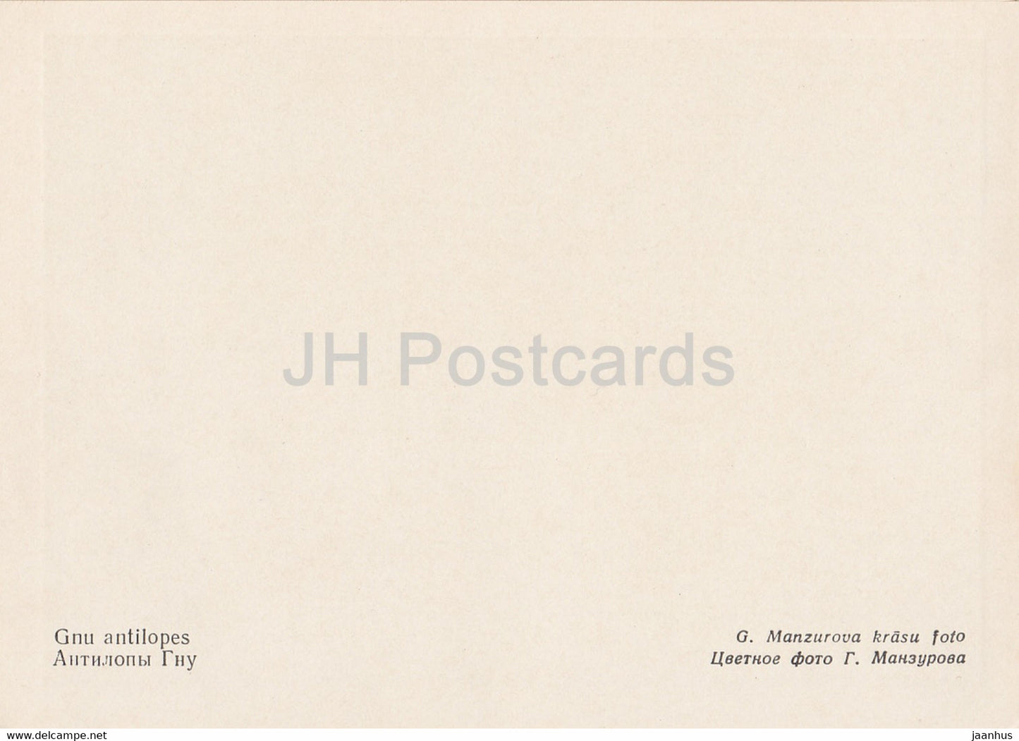 Zoo de Riga - Gnous - Lettonie URSS - inutilisé