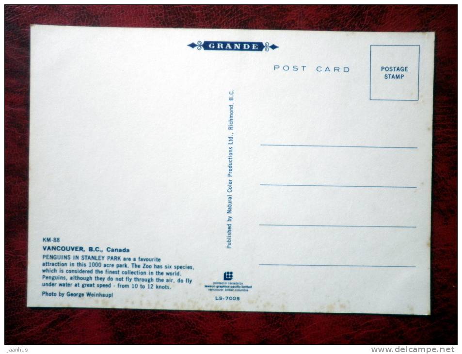 Penguins in Stanley Park - Vancouver - British Columbia - Canada - unused - JH Postcards