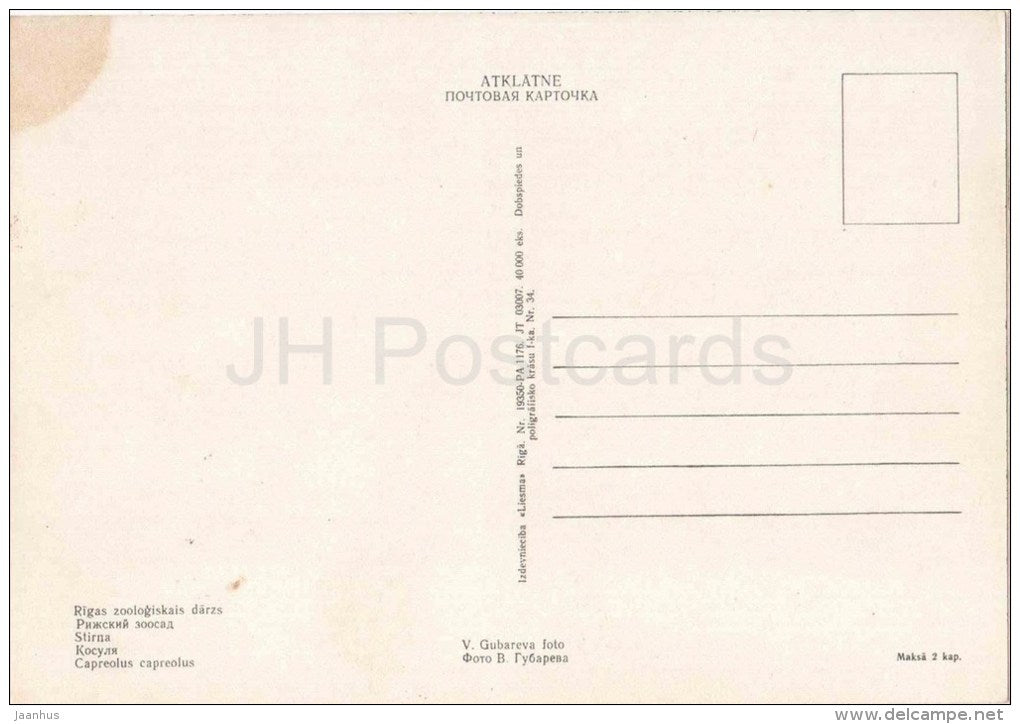 Roe Deer - Capreolus capreolus - animals - postcard on thin paper - Riga Zoo - Latvia USSR - unused - JH Postcards