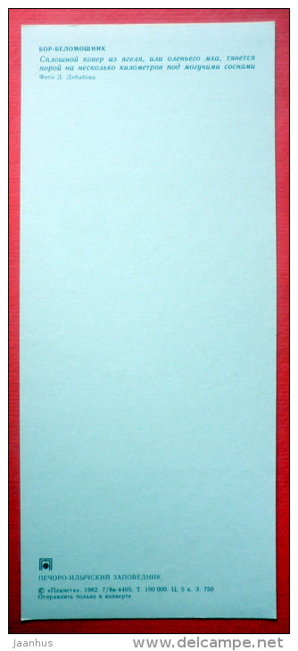 pine trees - mushroom - Pechora-Ilych Nature Reserve - Komi Republic - 1982 - Russia USSR - unused - JH Postcards