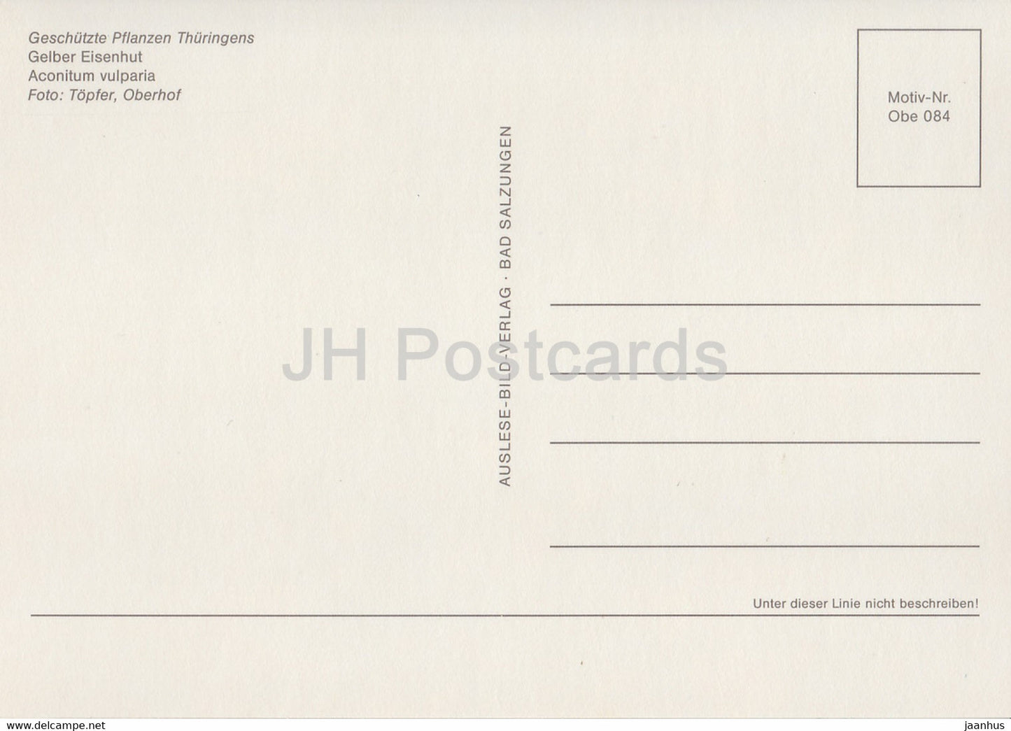 Wolfsbane - Aconitum Vulparia - Geschutzte Pflanzen - Protected plants - DDR Germany - unused
