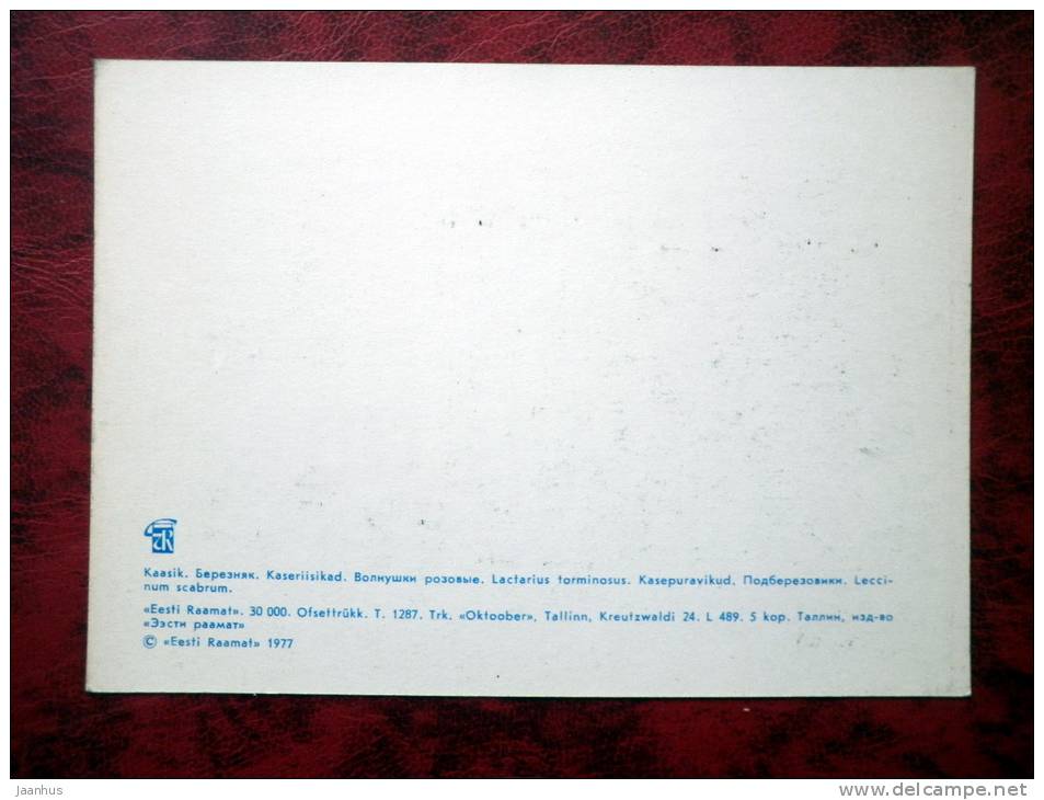 Estonian Nature - Birchwood, mushrooms - USSR - 1977 - unused - JH Postcards