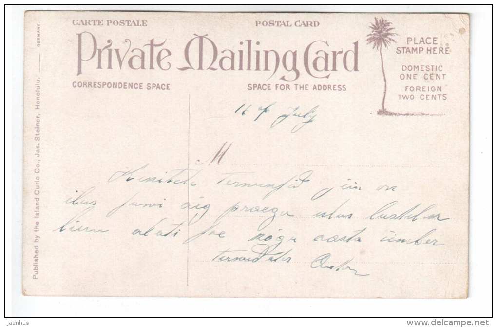 Bougainvillea Vine - Hawaiian Islands - USA - 116 - old postcard - used - JH Postcards