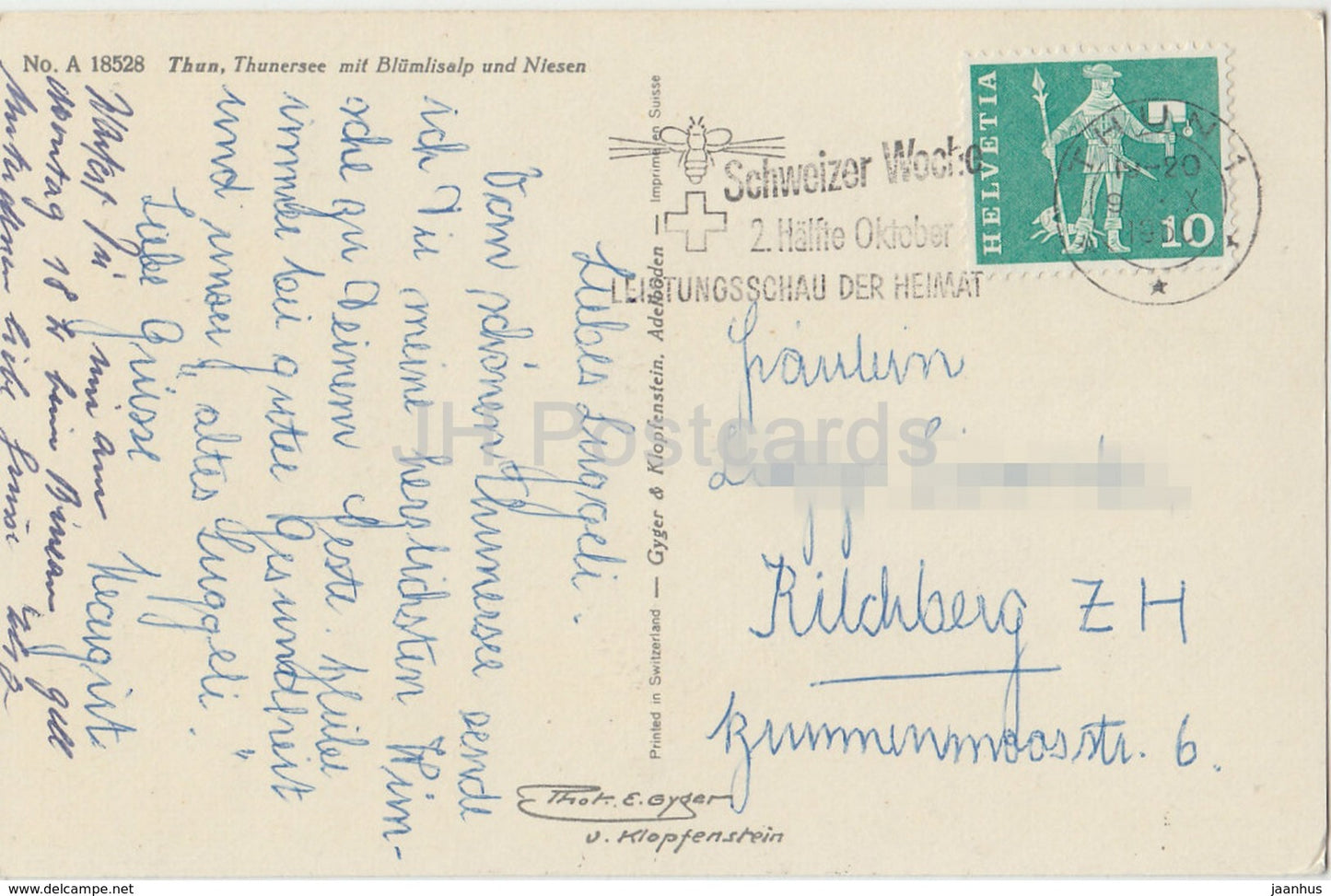 Thoune - Thunersee mit Blumlisalp und Niesen - cygne - oiseaux - 18528 - Suisse - carte postale ancienne - utilisé