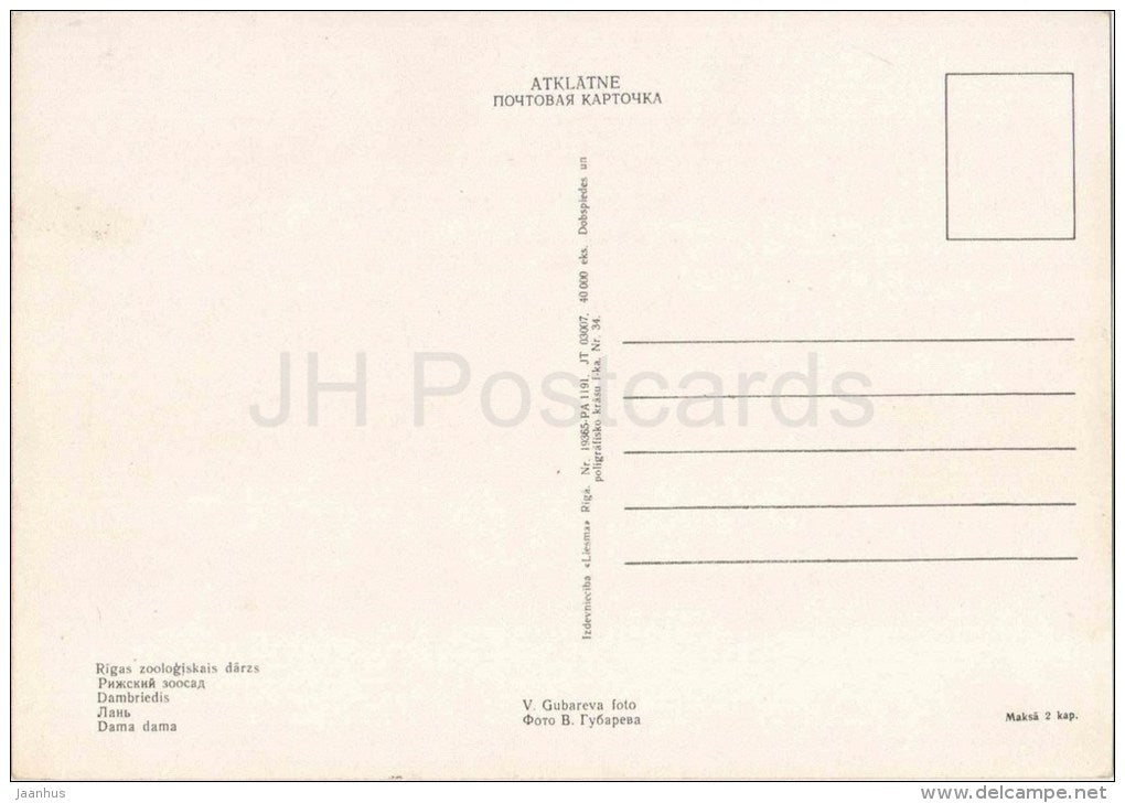 Fallow Deer - Dama dama - animals - postcard on thin paper - Riga Zoo - Latvia USSR - unused - JH Postcards