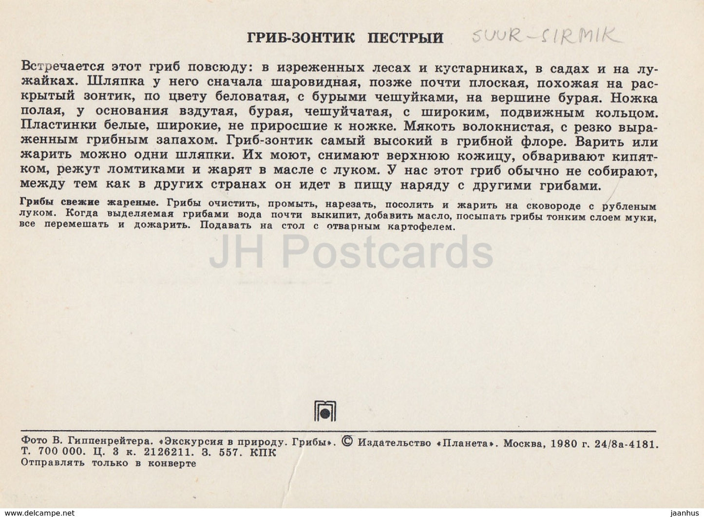 Parasol mushroom - Macrolepiota procera - Mushrooms - 1980 - Russia USSR - unused - JH Postcards