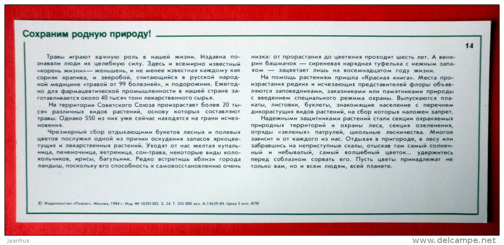 protection of wild plants - globe-flower - orchid - Nature Conservation - 1984 - USSR Russia - unused - JH Postcards