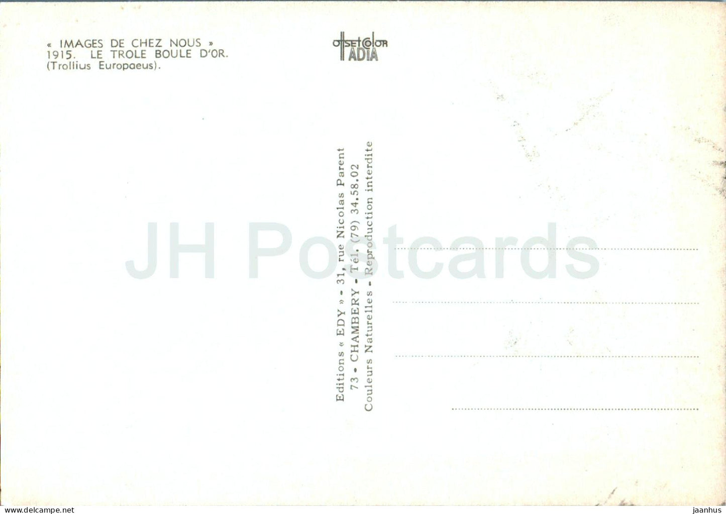 Images de Chez Nous - Le Trole Boule D'Or - Trollblume - Trollius Europaeus - Blumen - Frankreich - unbenutzt